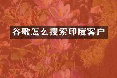 谷歌怎么搜索印度客户