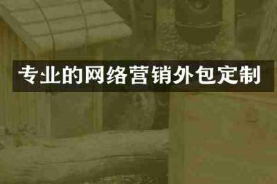 专业的网络营销外包定制