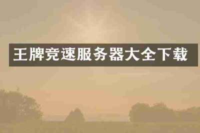 王牌竞速服务器大全下载
