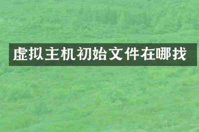 虚拟主机初始文件在哪找