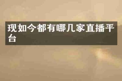 现如今都有哪几家直播平台