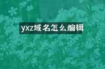 yxz域名怎么编辑