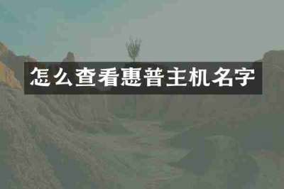 怎么查看惠普主机名字