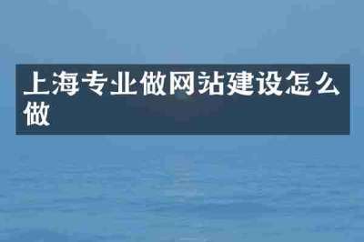 上海专业做网站建设怎么做