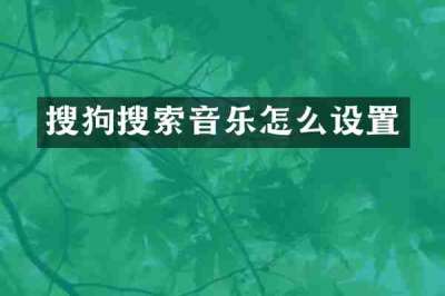 搜狗搜索音乐怎么设置