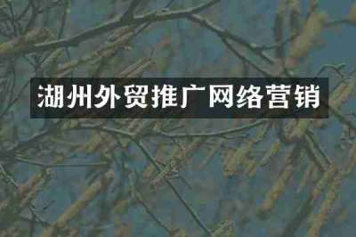 湖州外贸推广网络营销