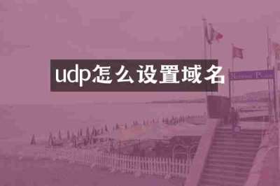 udp怎么设置域名