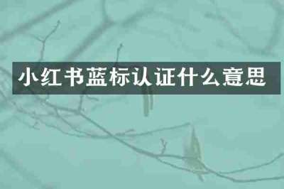 小红书蓝标认证什么意思