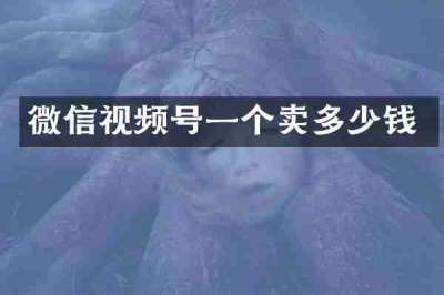 微信视频号一个卖多少钱