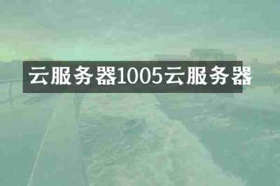 云服务器1005云服务器
