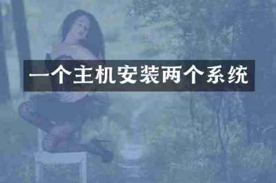 一个主机安装两个系统