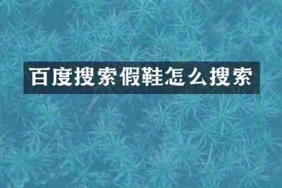 百度搜索假鞋怎么搜索