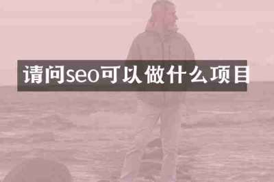 请问seo可以做什么项目