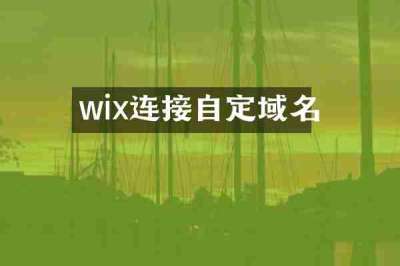 wix连接自定域名