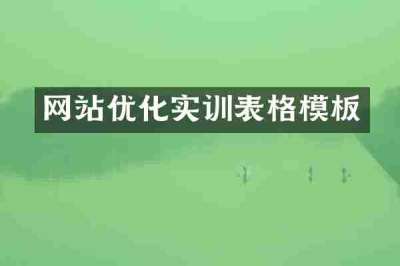 网站优化实训表格模板