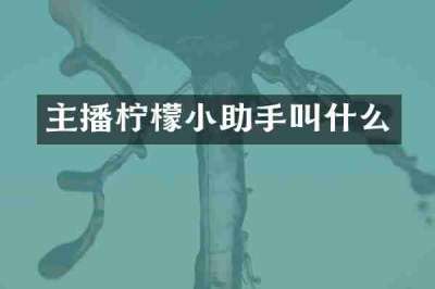 主播柠檬小助手叫什么