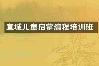 宣城儿童启蒙编程培训班