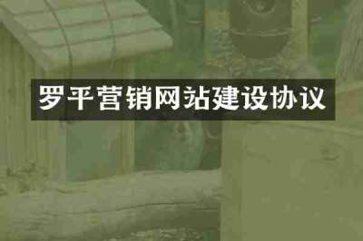 罗平营销网站建设协议