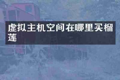 虚拟主机空间在哪里买榴莲