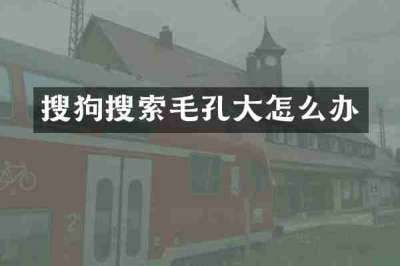 搜狗搜索毛孔大怎么办