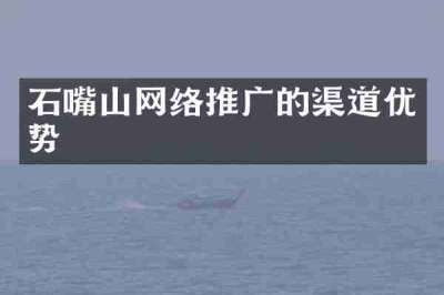 石嘴山网络推广的渠道优势