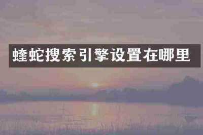 蝰蛇搜索引擎设置在哪里