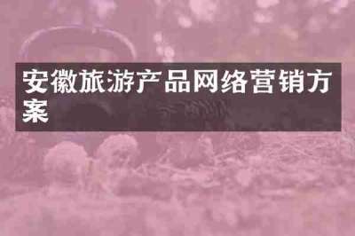 安徽旅游产品网络营销方案