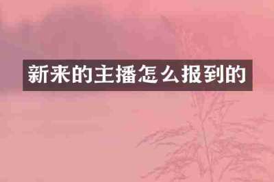 新来的主播怎么报到的