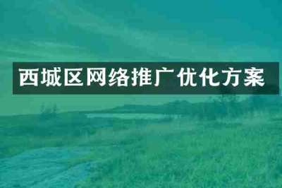 西城区网络推广优化方案