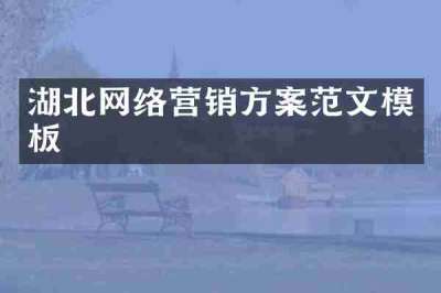 湖北网络营销方案范文模板