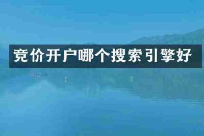 竞价开户哪个搜索引擎好