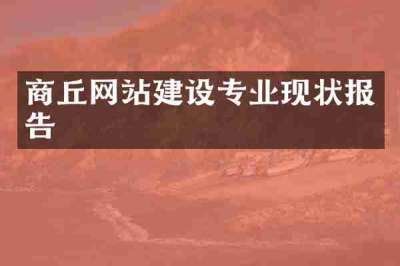 商丘网站建设专业现状报告