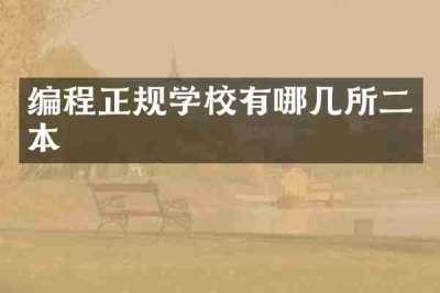 编程正规学校有哪几所二本