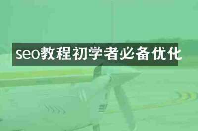 seo教程初学者必备优化