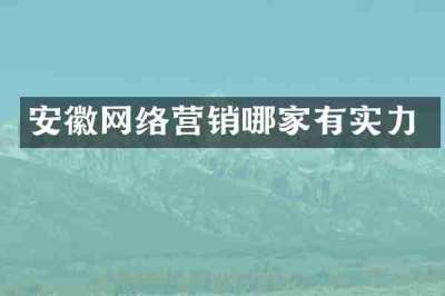 安徽网络营销哪家有实力