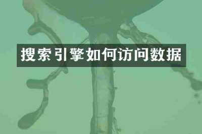 搜索引擎如何访问数据