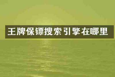王牌保镖搜索引擎在哪里