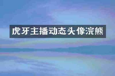 虎牙主播动态头像浣熊