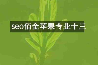 seo佰金苹果专业十三