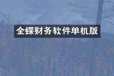 金蝶财务软件单机版