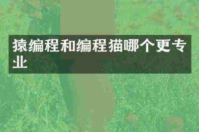 猿编程和编程猫哪个更专业