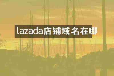 lazada店铺域名在哪