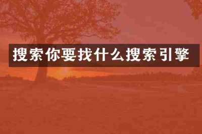 搜索你要找什么搜索引擎