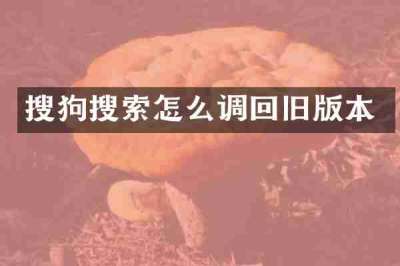 搜狗搜索怎么调回旧版本