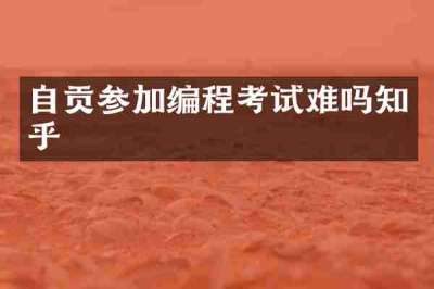 自贡参加编程考试难吗知乎