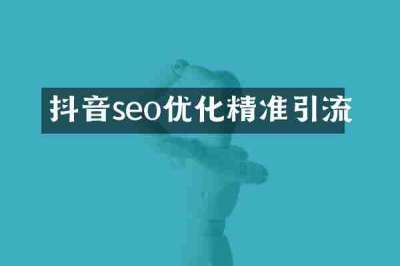 抖音seo优化精准引流