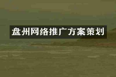 盘州网络推广方案策划