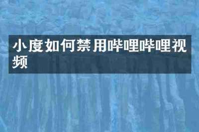 小度如何禁用哔哩哔哩视频