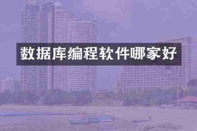 数据库编程软件哪家好