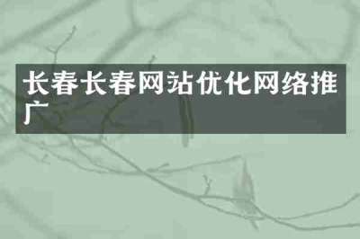 长春长春网站优化网络推广